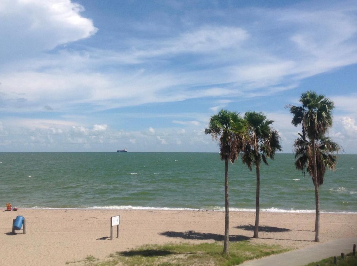 Spectacular Beach View! Corpus Christi Exterior photo