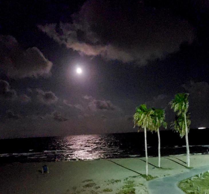 Spectacular Beach View! Corpus Christi Exterior photo