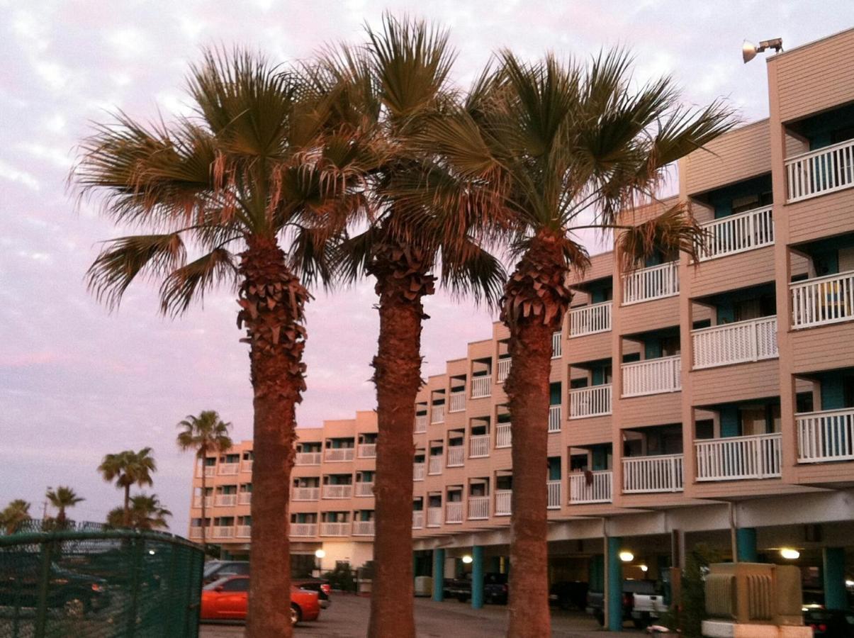 Spectacular Beach View! Aparthotel Corpus Christi Exterior photo